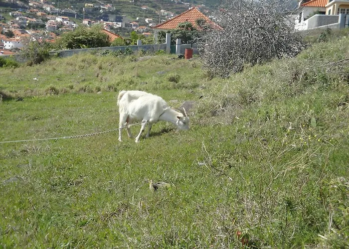 House On The Vakantiehuis Machico (Madeira)